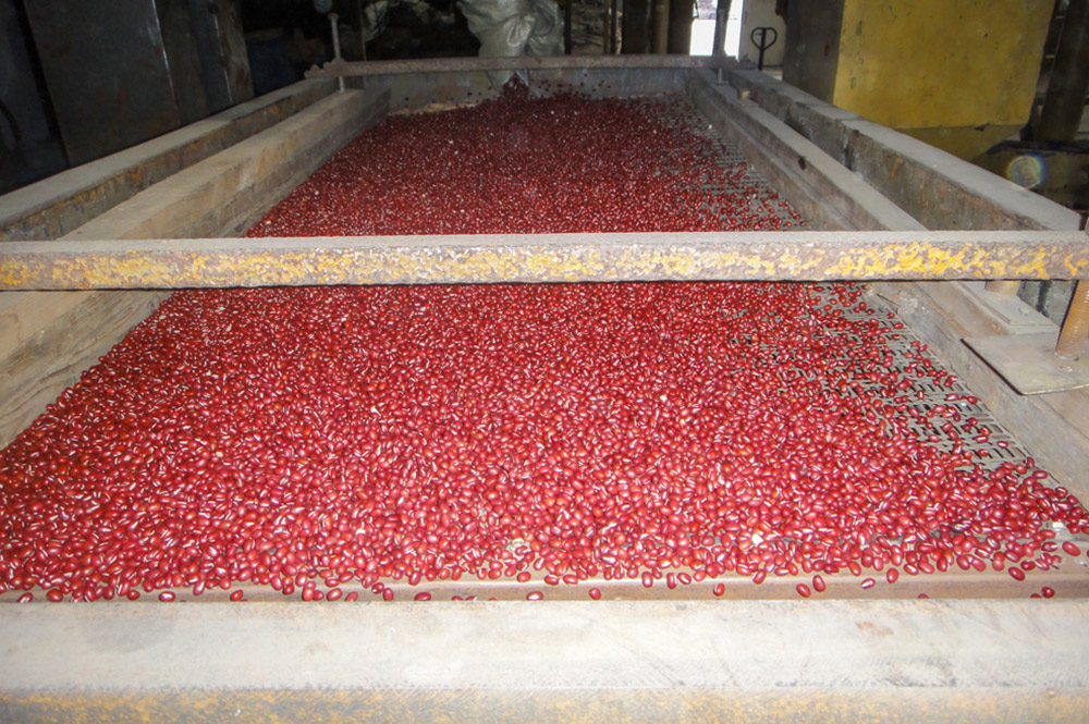 豆の輸入販売